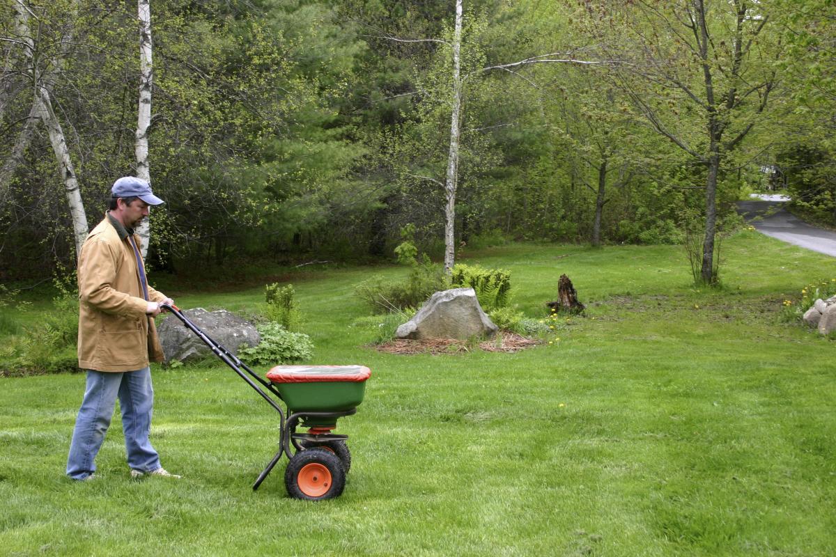 Fall lawn fertilizing tips